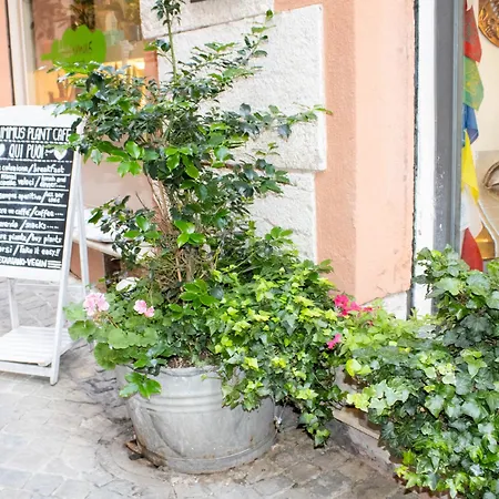Palazzo Tancredi Apartamento
